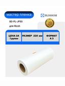 Мастер-пленка RICOH A3 JP50/CPMT13/893015 для JP 5000/5500/5800/MB DD35, Blossom 1
