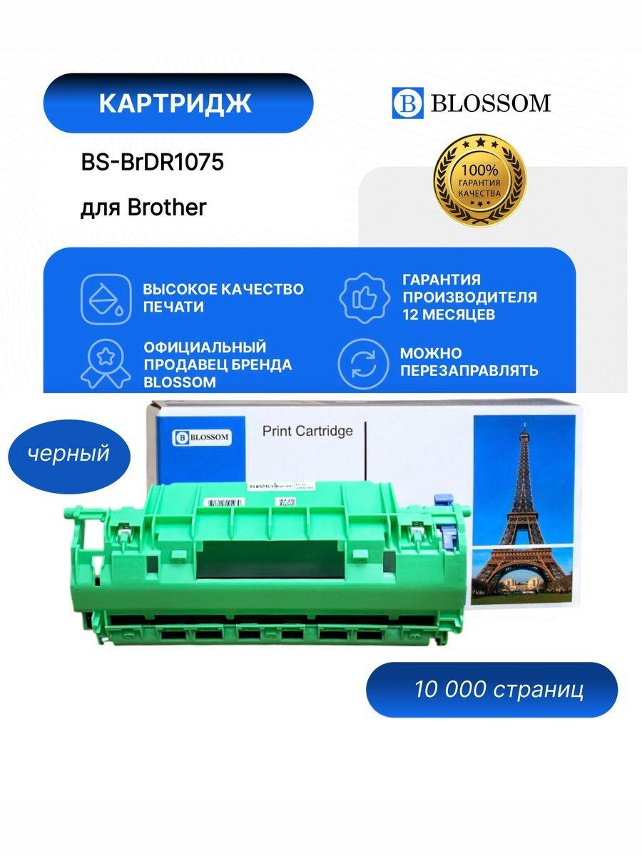 Драм-картридж Brother DR-1075 для HL1110/1112/DCP1510/1512/1601/1610/MFC1810/1815, Bk, 10K, Blossom